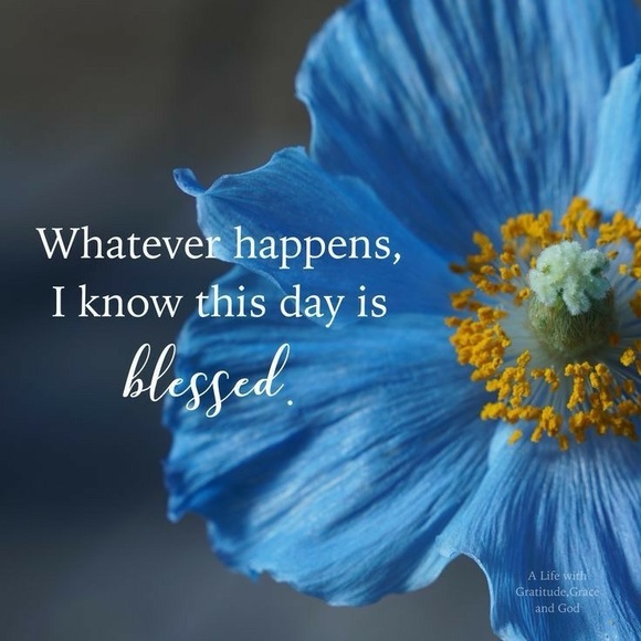 Grateful Heart...💖 - Picture 5 of 16